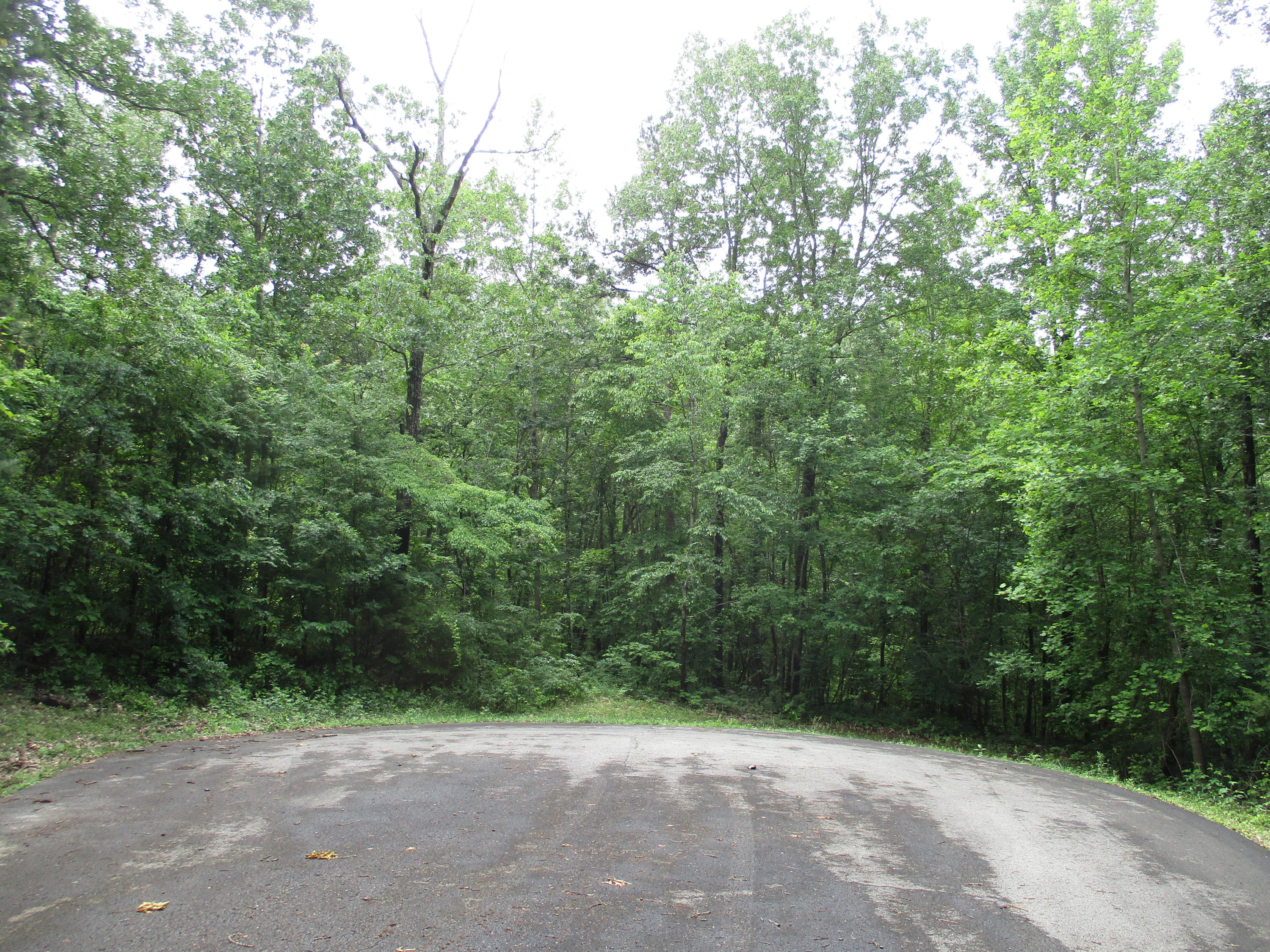 0 South Bluffs Road, Unit LOTS #32/33 Guild, TN 37340 - Photo 10 of 21 IMG_1186