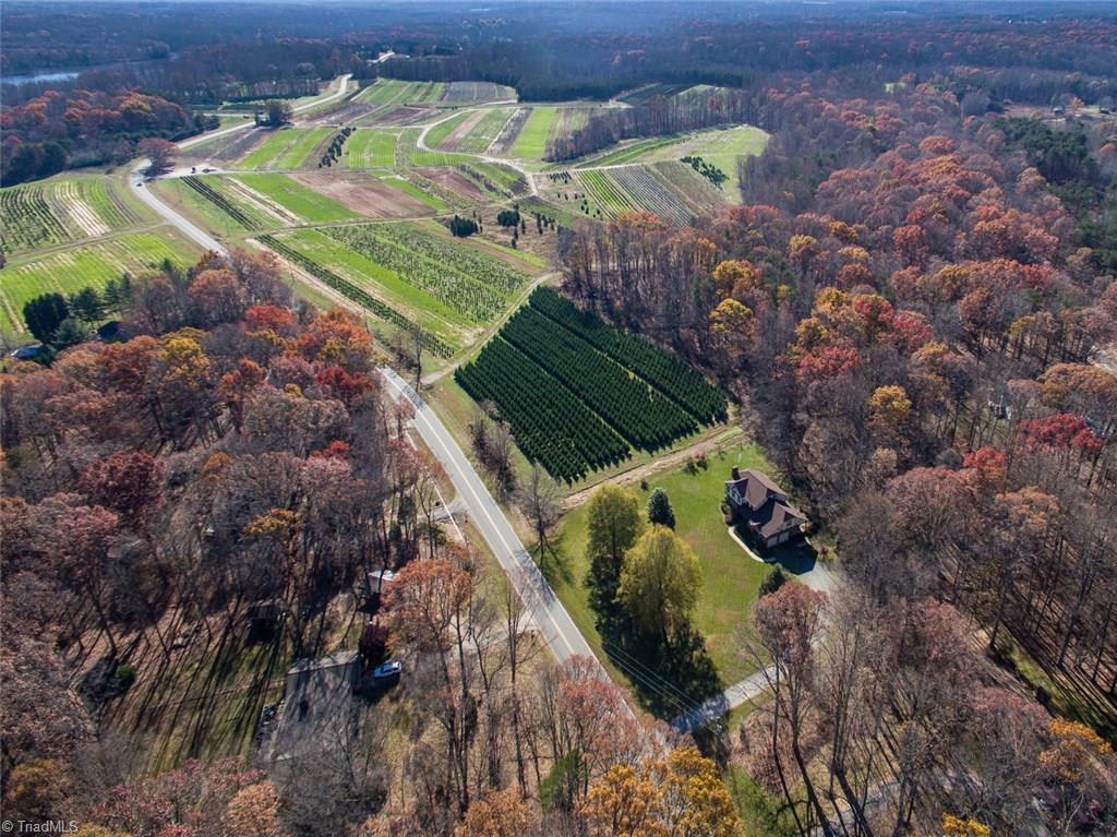 704 Boyd Road Reidsville, NC 27320 - Photo 8 of 30 Gallery Image 8
