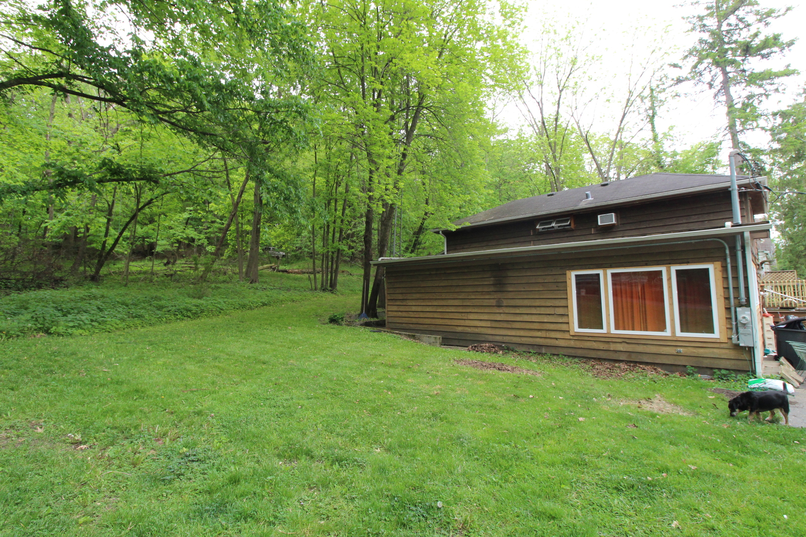 1843 North River Road Algonquin, IL 60102 - Photo 3 of 13 a backyard of a house with potted plants and large trees