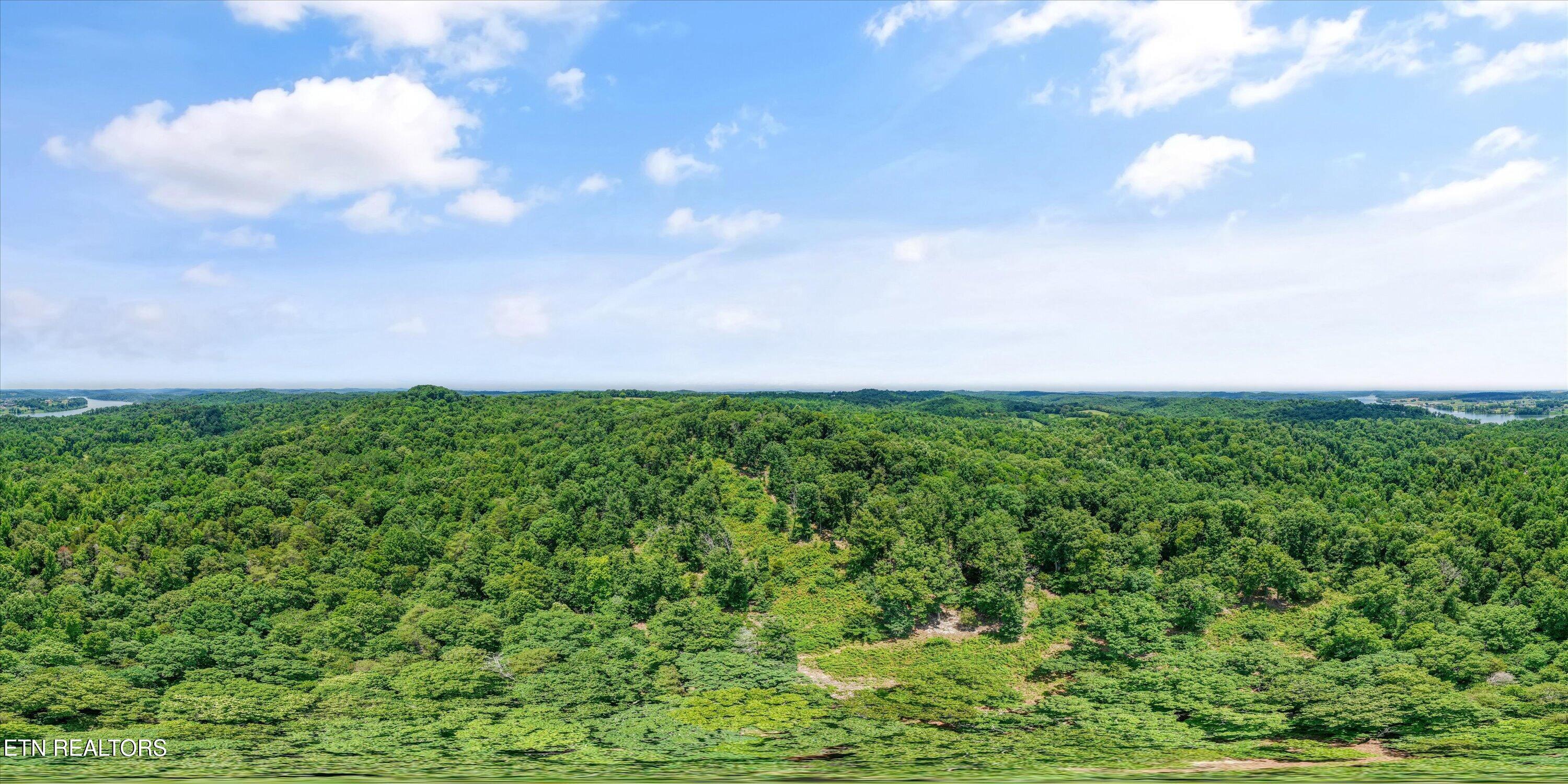 1499 Dogwood Valley Road Loudon, TN 37774 - Photo 13 of 13 16-1499 Dogwood Valley Rd 11
