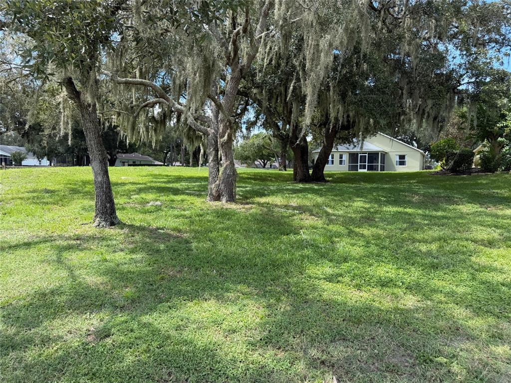 13315 Golf Ridge Place Hudson, FL 34669 - Photo 40 of 51 Gallery Image 40