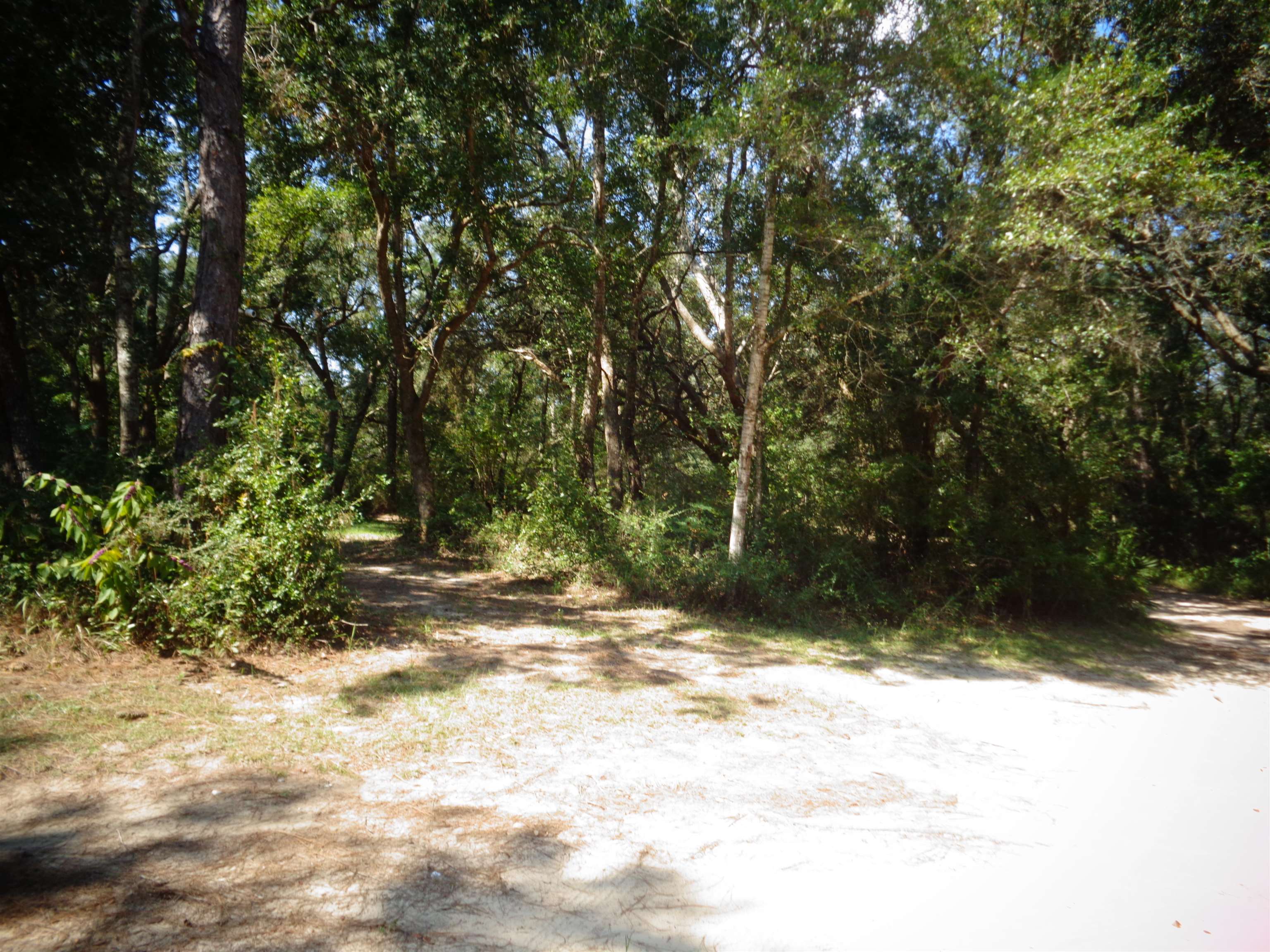 12052 Fernwood Drive Foley, AL 36535 - Photo 26 of 27