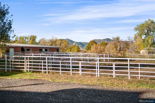 a view of a swimming pool with a garden