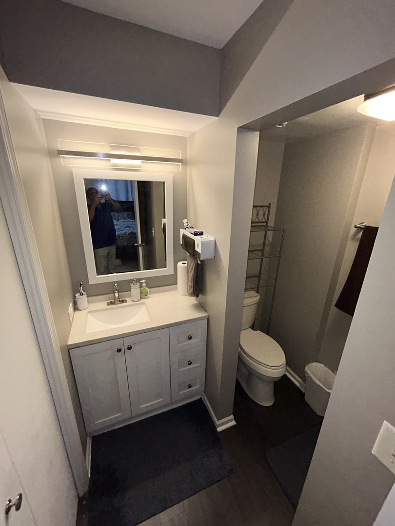 209 East Irving Park Road, Unit 1N Itasca, IL 60143 - Photo 23 of 30 a bathroom with a toilet sink and mirror