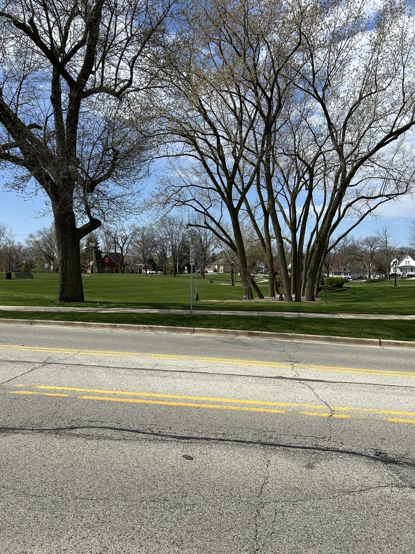 209 East Irving Park Road, Unit 1N Itasca, IL 60143 - Photo 5 of 30 a view of yard with green space