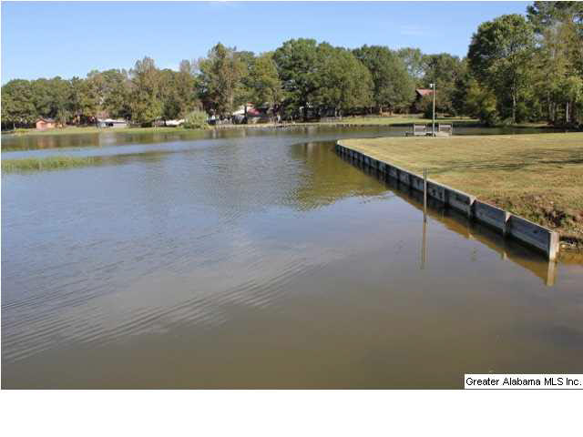 10 Lakeview Lane Sylacauga, AL 35151 - Photo 24 of 26