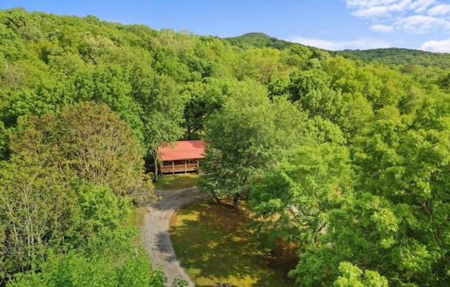 3188 Beech Log Road Watertown, TN 37184 - Photo 41 of 48 Gallery Image 41
