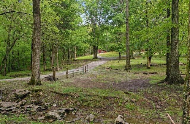 3188 Beech Log Road Watertown, TN 37184 - Photo 6 of 48 Gallery Image 6