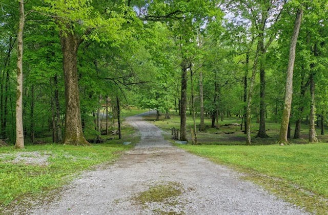 3188 Beech Log Road Watertown, TN 37184 - Photo 7 of 48 Gallery Image 7