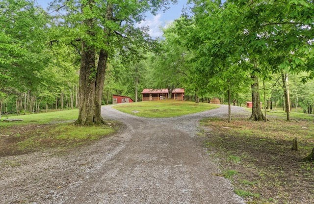 3188 Beech Log Road Watertown, TN 37184 - Photo 8 of 48 Gallery Image 8