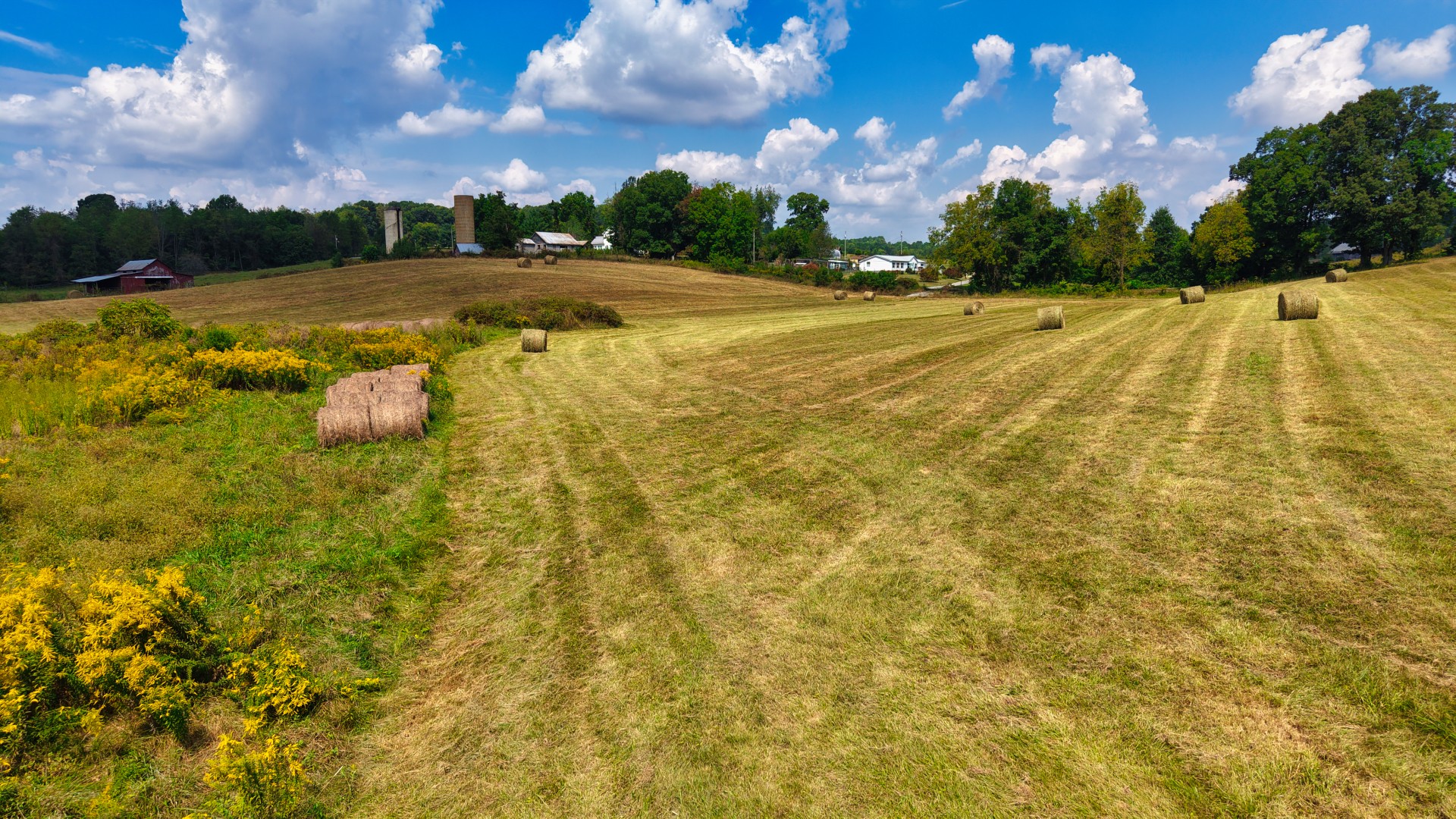 0 Mitchell Ridge Road Jonesborough, TN 37659 - Photo 10 of 82 Gallery Image 10