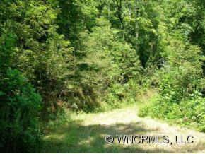 6 Guffey's Gap Road, Unit TRACT6 Franklin, NC 28734 - Photo 3 of 4 a view of a tree