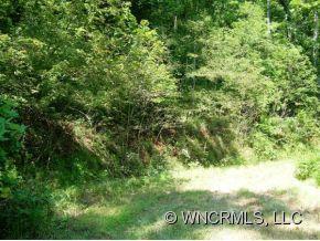 6 Guffey's Gap Road, Unit TRACT6 Franklin, NC 28734 - Photo 4 of 4