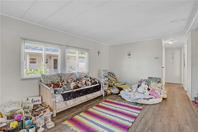 a living room with furniture and rug