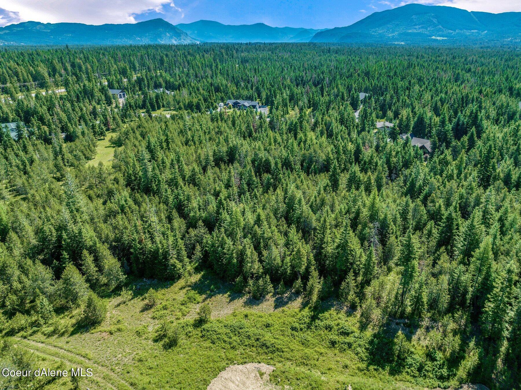 Lot 10 East Riley Loop Athol, ID 83801 - Photo 17 of 25 --17.jpg-SMALL