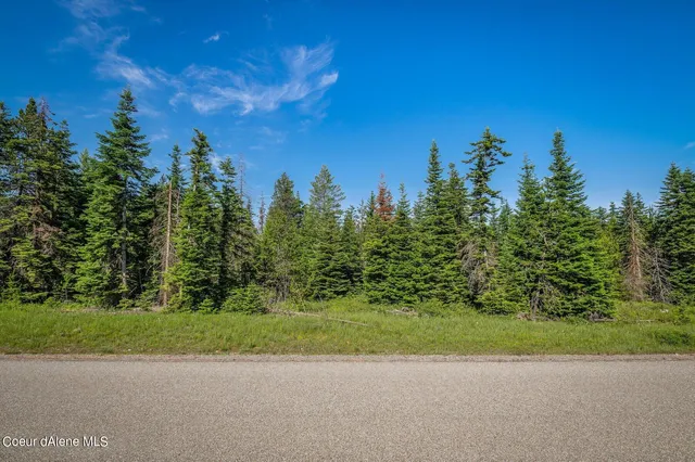 $434,900 | Lot 10 East Riley Loop, Athol, ID 83801