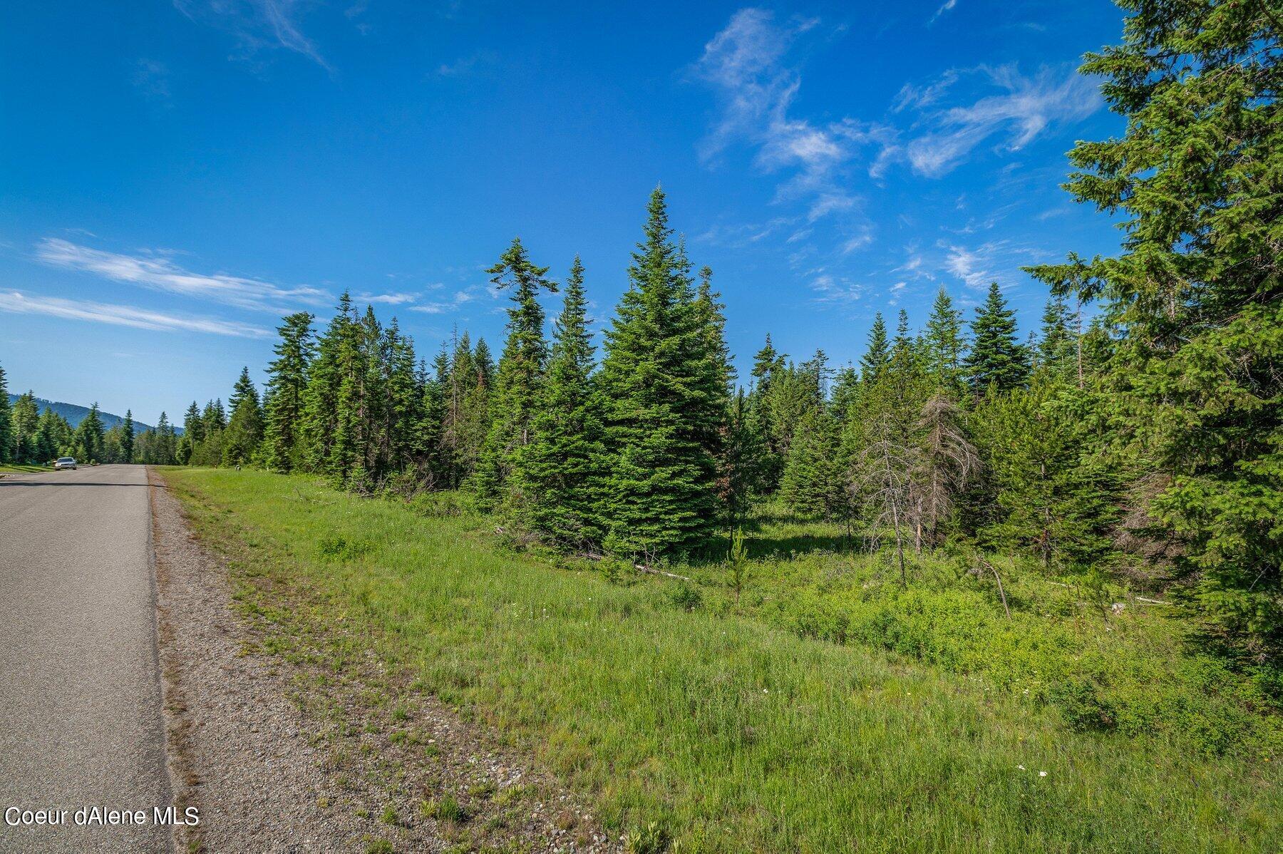 Lot 10 East Riley Loop Athol, ID 83801 - Photo 4 of 25 --4.jpg-SMALL