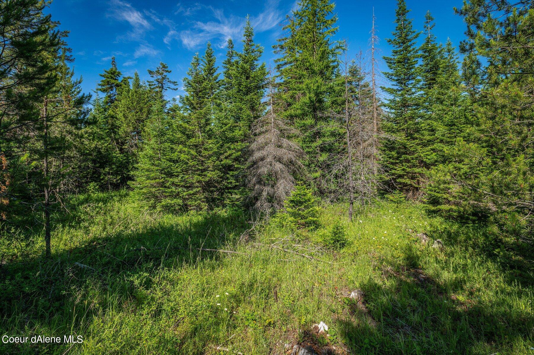 Lot 10 East Riley Loop Athol, ID 83801 - Photo 5 of 25 --5.jpg-SMALL