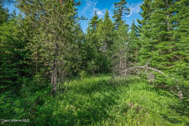 $434,900 | Lot 10 East Riley Loop, Athol, ID 83801