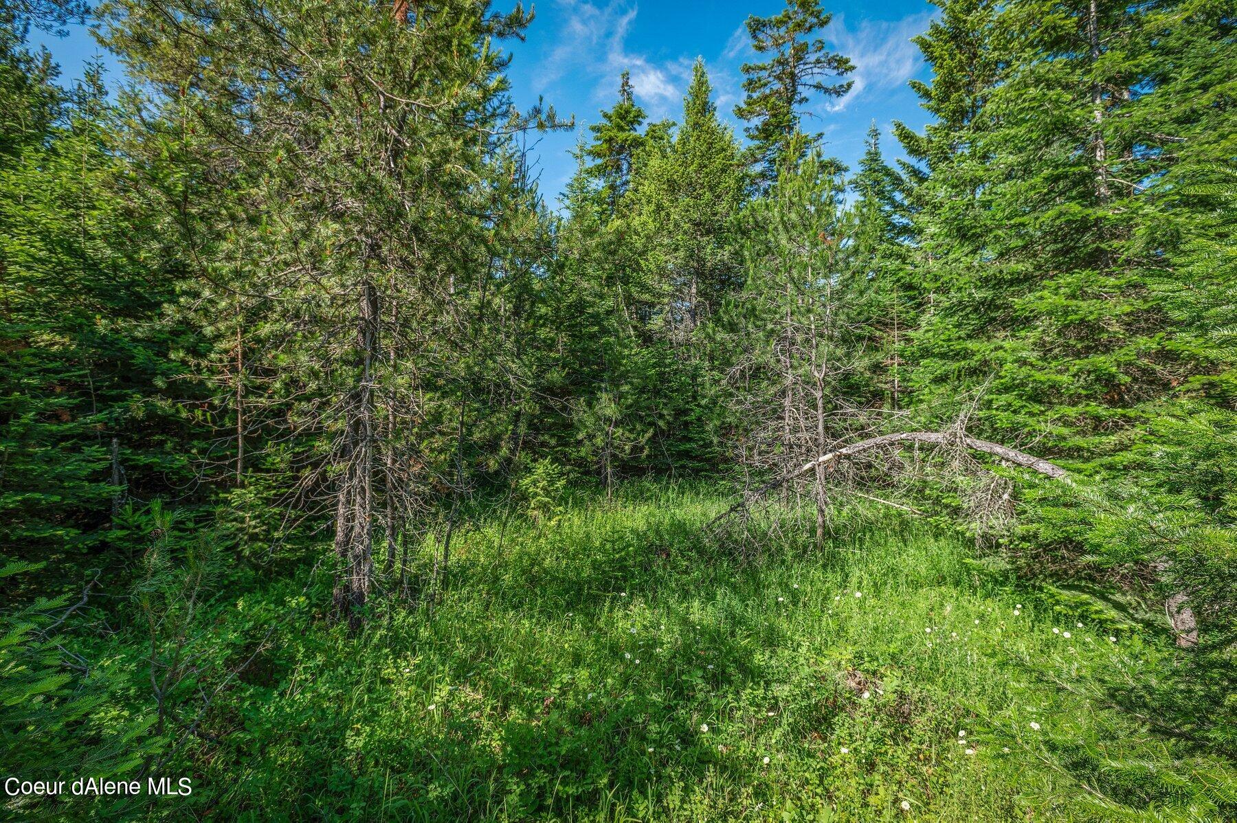 Lot 10 East Riley Loop Athol, ID 83801 - Photo 6 of 25 --6.jpg-SMALL