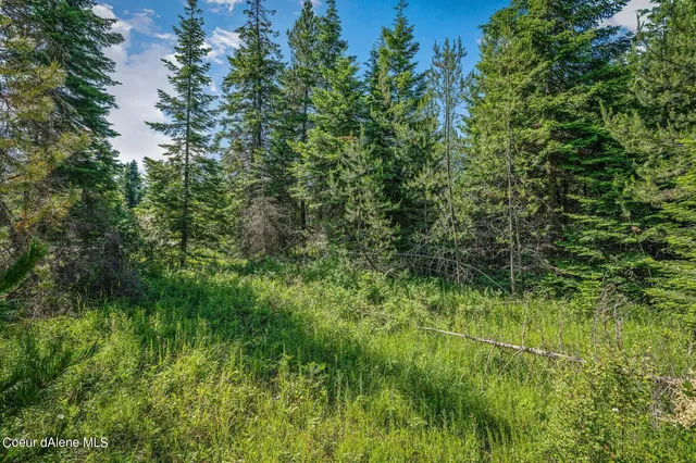 $434,900 | Lot 10 East Riley Loop, Athol, ID 83801