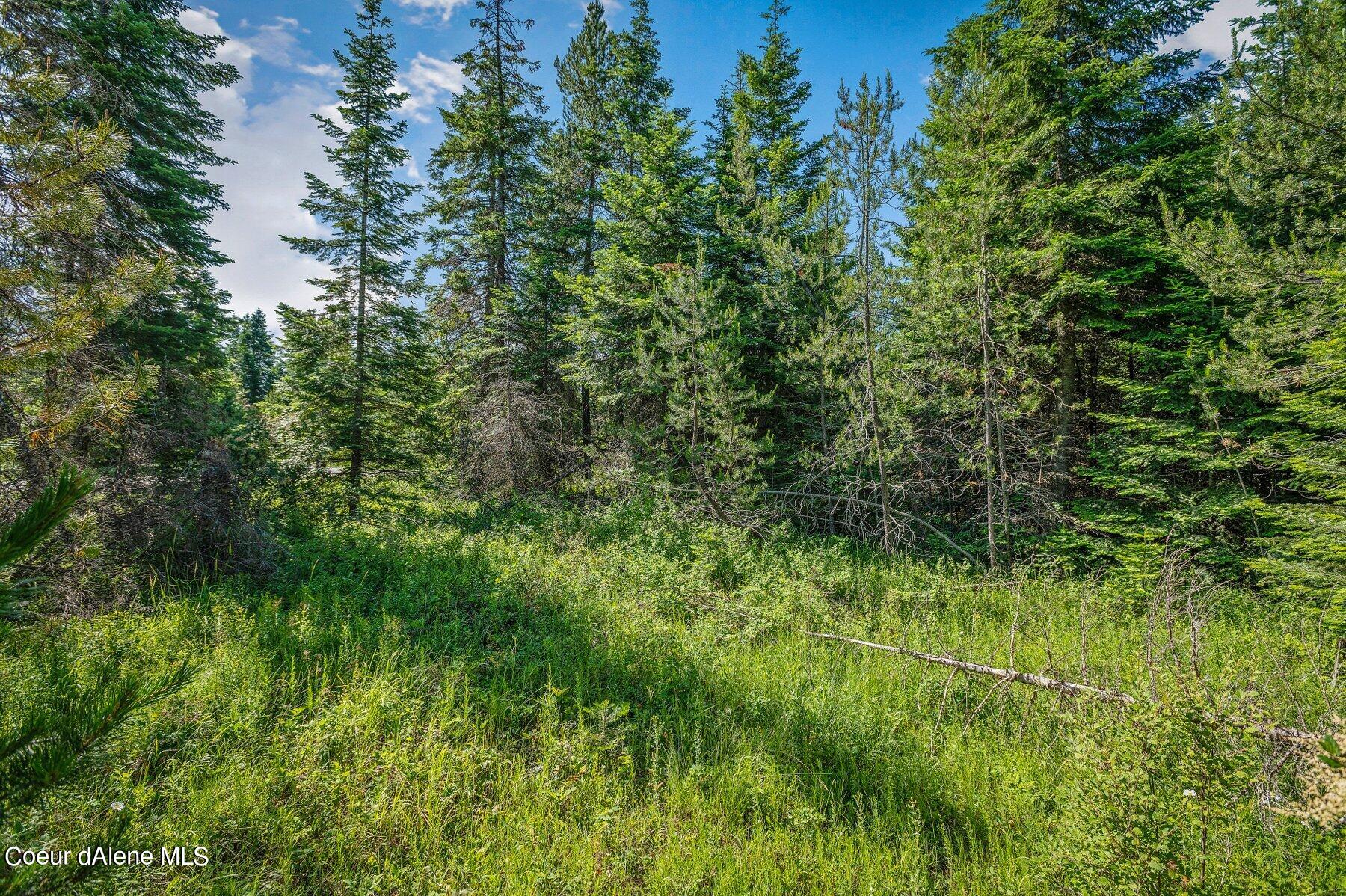 Lot 10 East Riley Loop Athol, ID 83801 - Photo 7 of 25 --7.jpg-SMALL