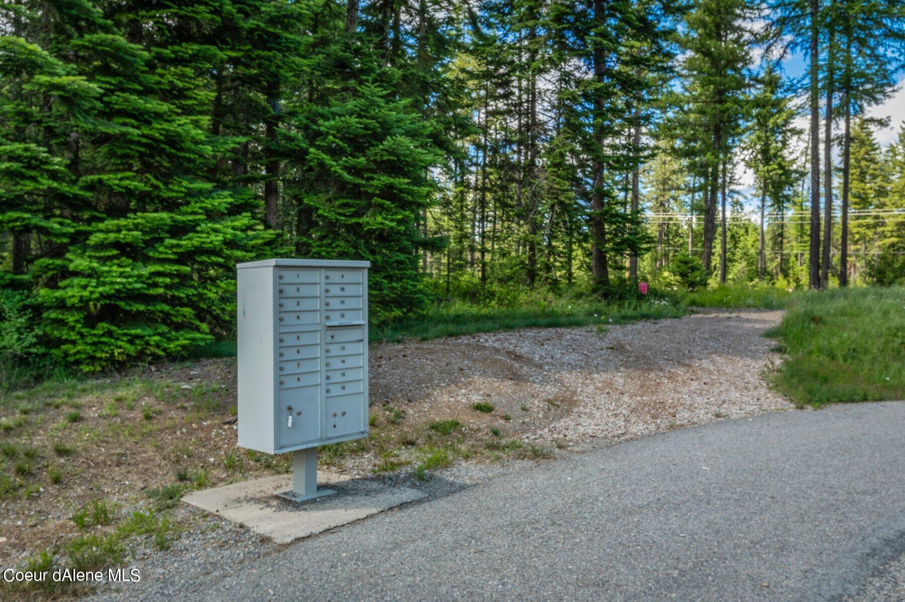 Lot 10 East Riley Loop Athol, ID 83801 - Photo 8 of 25 --8.jpg-SMALL