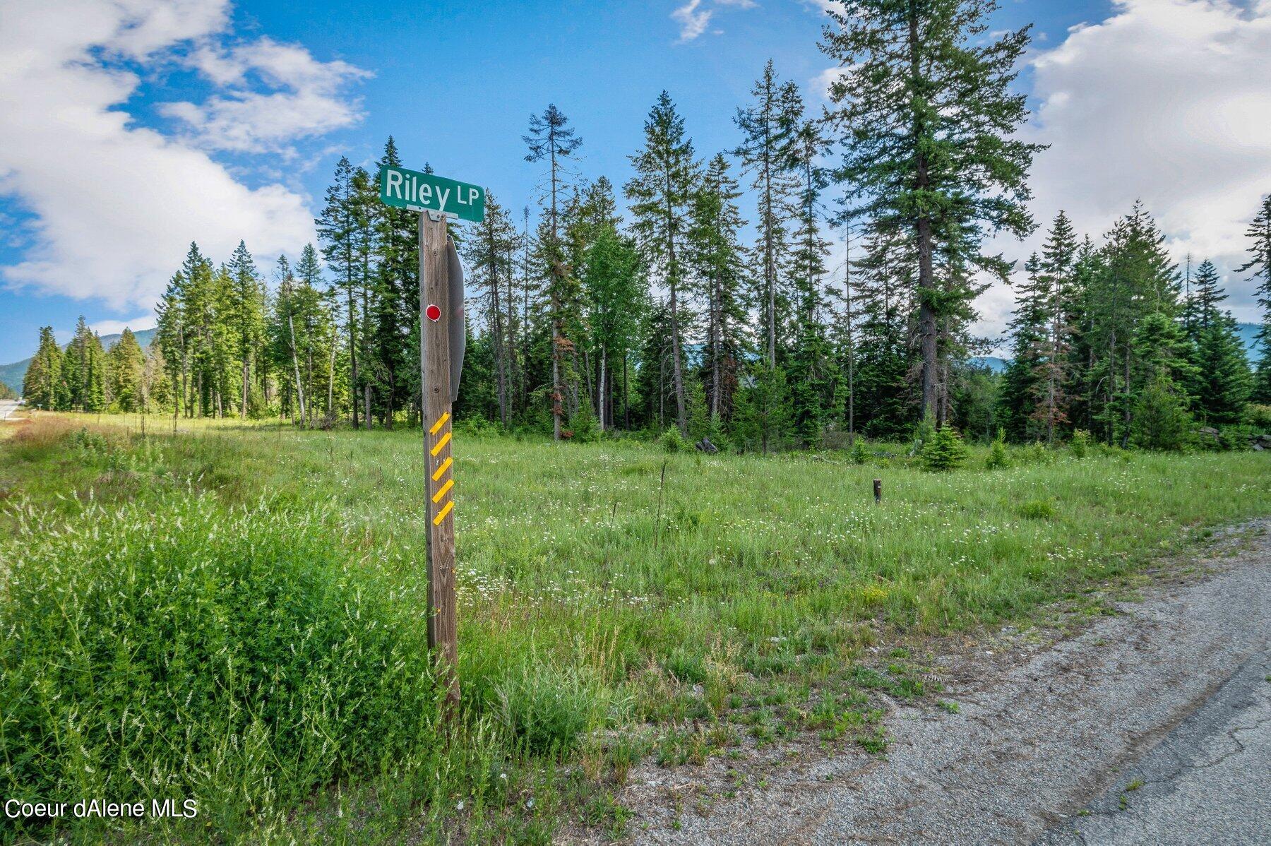 Lot 10 East Riley Loop Athol, ID 83801 - Photo 10 of 25 --10.jpg-SMALL
