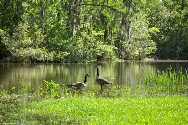 $3,500,000 | 194 Belle Terre Boulevard, Covington, LA 70433