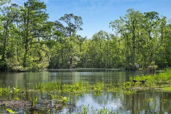 $3,500,000 | 194 Belle Terre Boulevard, Covington, LA 70433