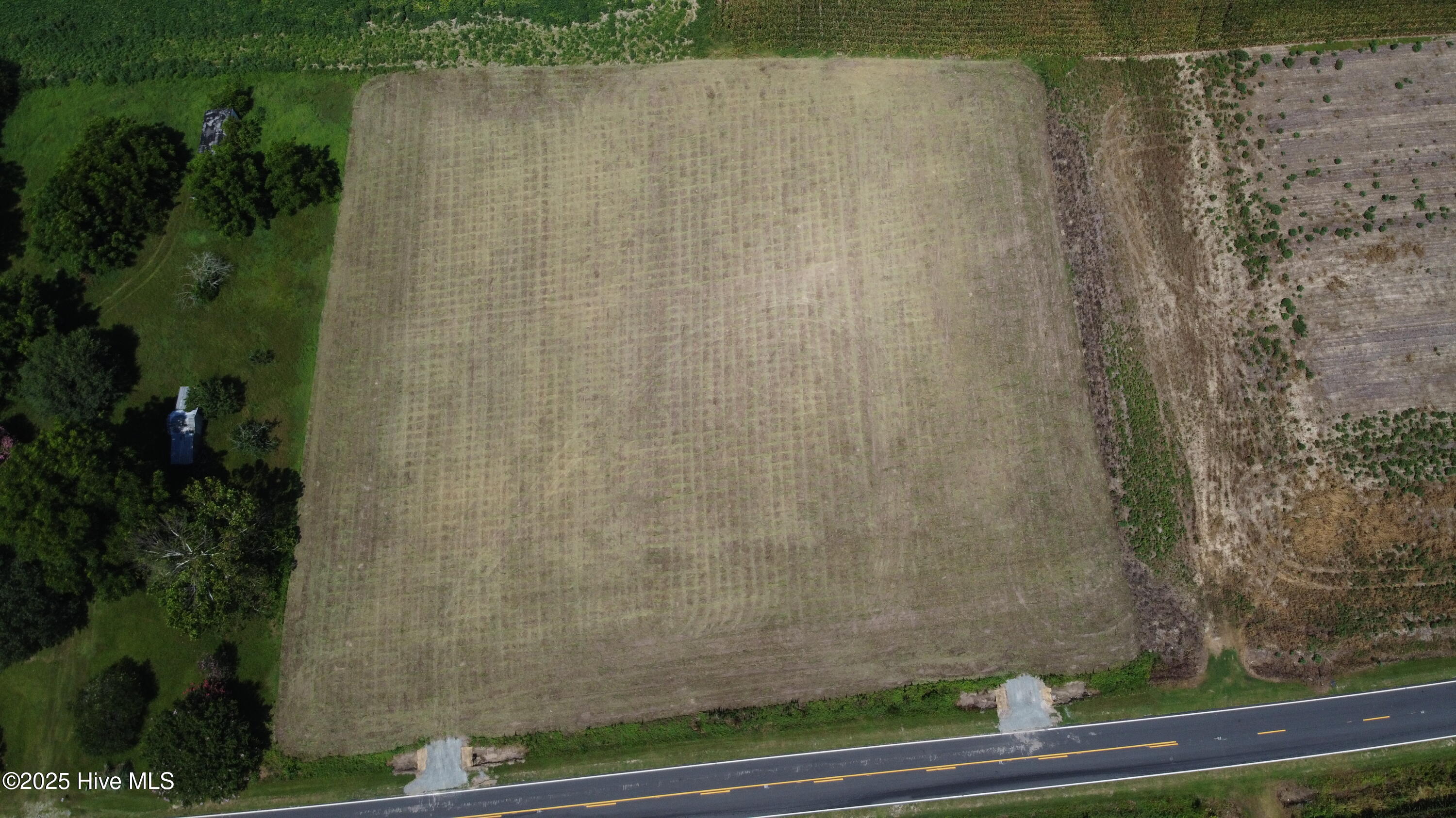 0 Suttontown Road Faison, NC 28341 - Photo 8 of 13 DJI_0265