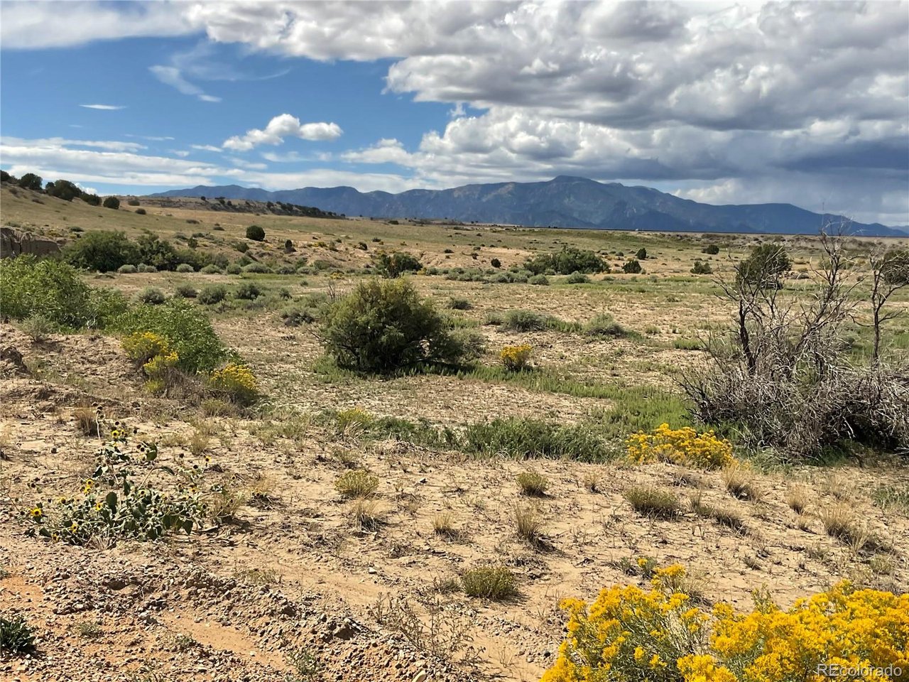 21 Ghost River Ranch, Unit 1 Rye, CO 81069 - Photo 19 of 20 Gallery Image 19
