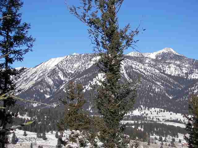 Tbd Tbd Greathorn Ranch Road Big Sky, MT 59716 - Photo 1 of 1 Gallery Image 1