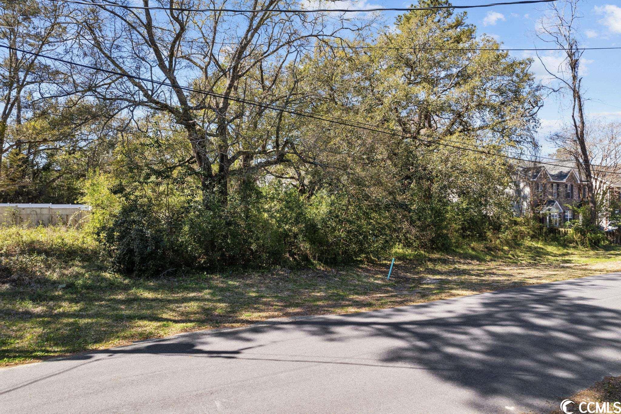 Tbd 5th Avenue South Surfside Beach, SC 29575 - Photo 21 of 21