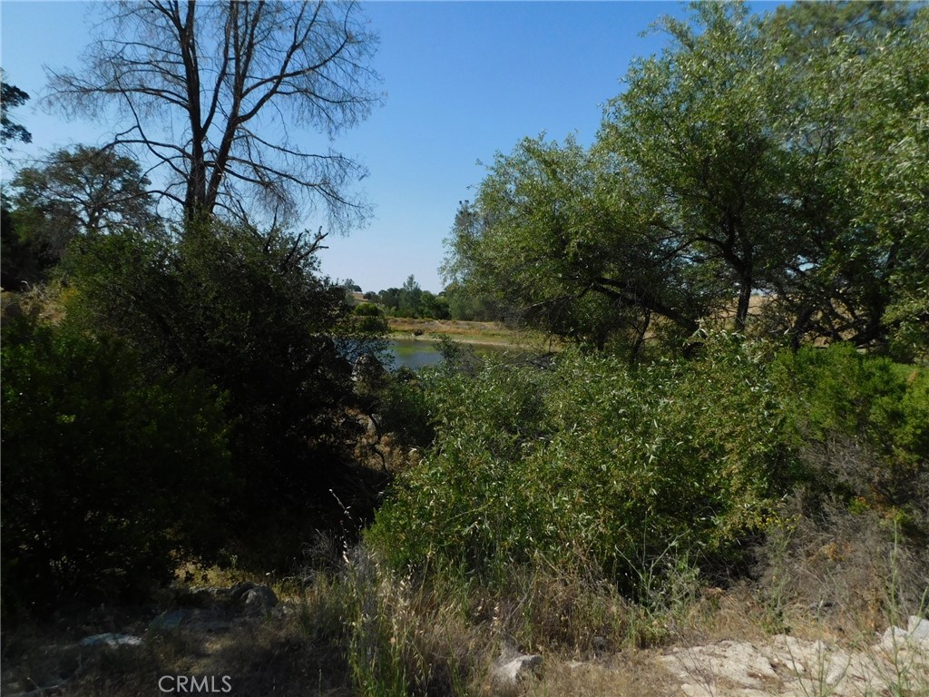 7878 O'Donovan Road Creston, CA 93432 - Photo 8 of 9