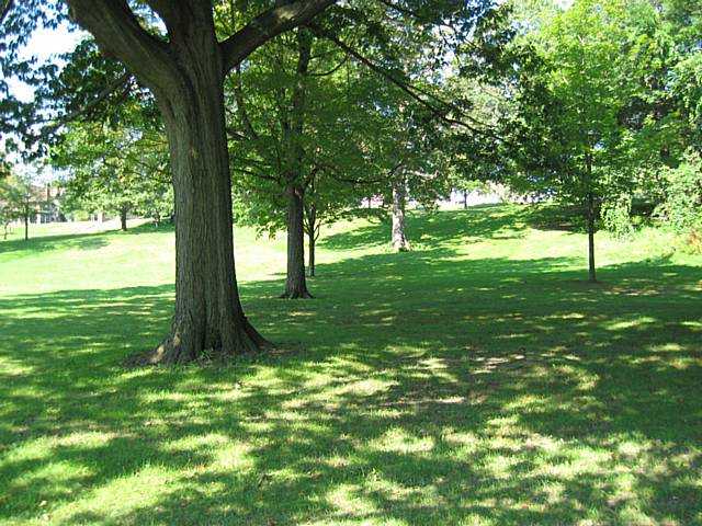 237 Maplewood Avenue Rochester, NY 14613 - Photo 20 of 21 Other