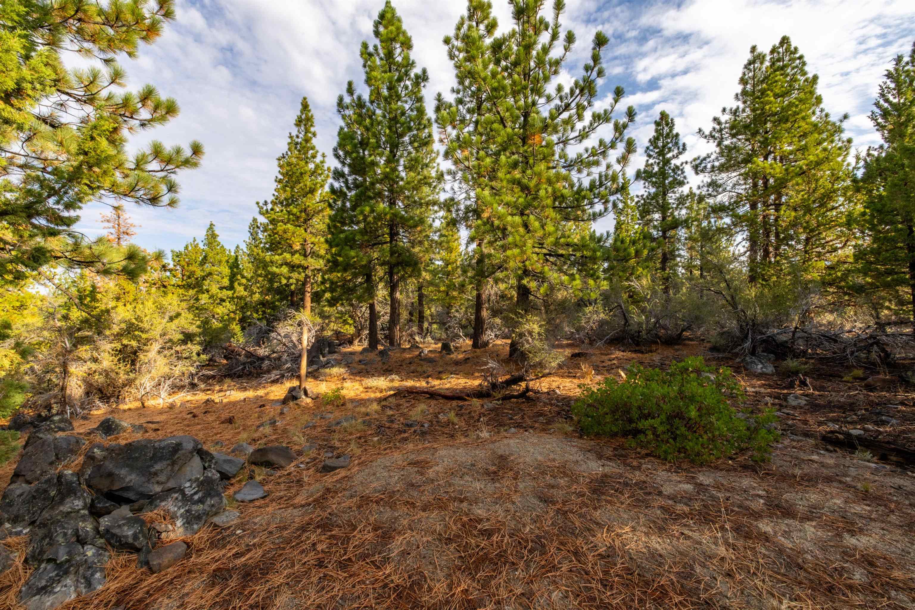 17545 Close Call Ridge Truckee, CA 96161 - Photo 17 of 28