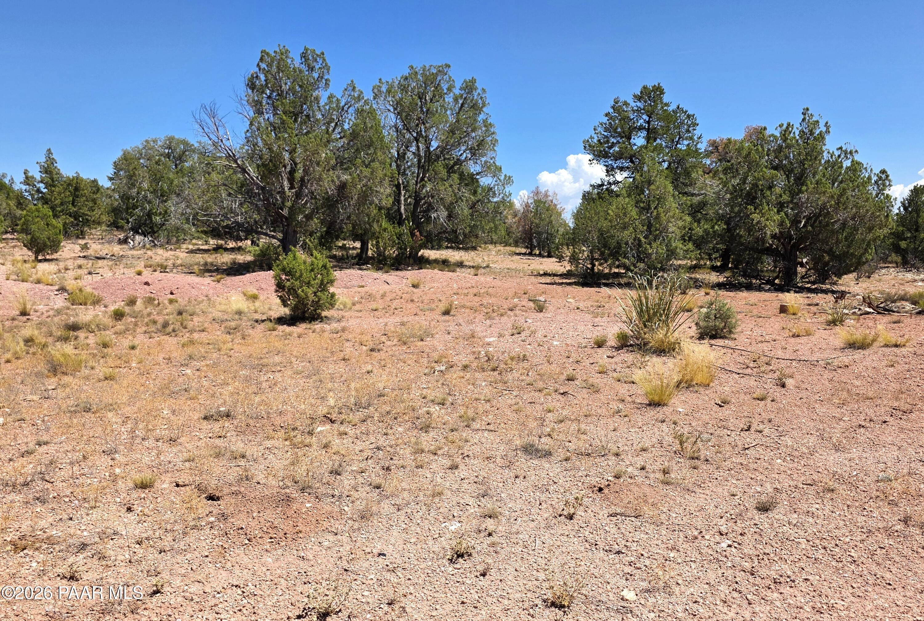 3200 Poppy Road Ash Fork, AZ 86320 - Photo 27 of 34 20260711_141405