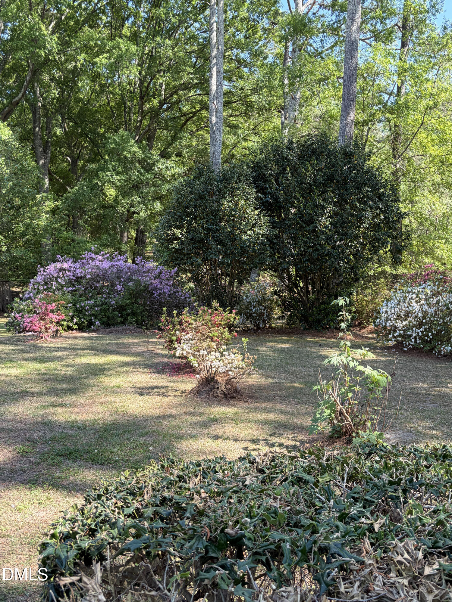 429 Butts Road Angier, NC 27501 - Photo 71 of 77 IMG_2356
