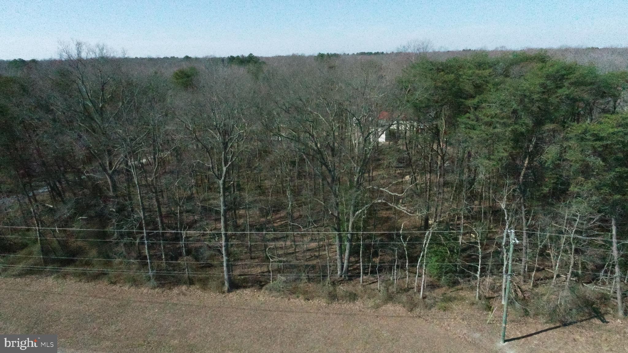 Marydel Road Marydel, MD 21649 - Photo 7 of 16 Gallery Image 7