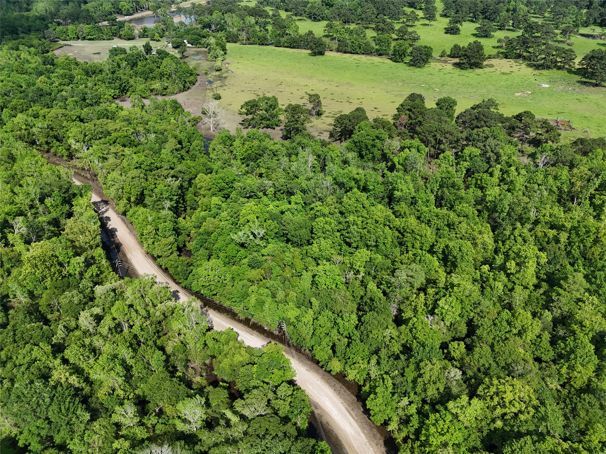 149 County Road 149 Liberty, TX 77575 - Photo 1 of 9 a view of a lush green forest with a lake