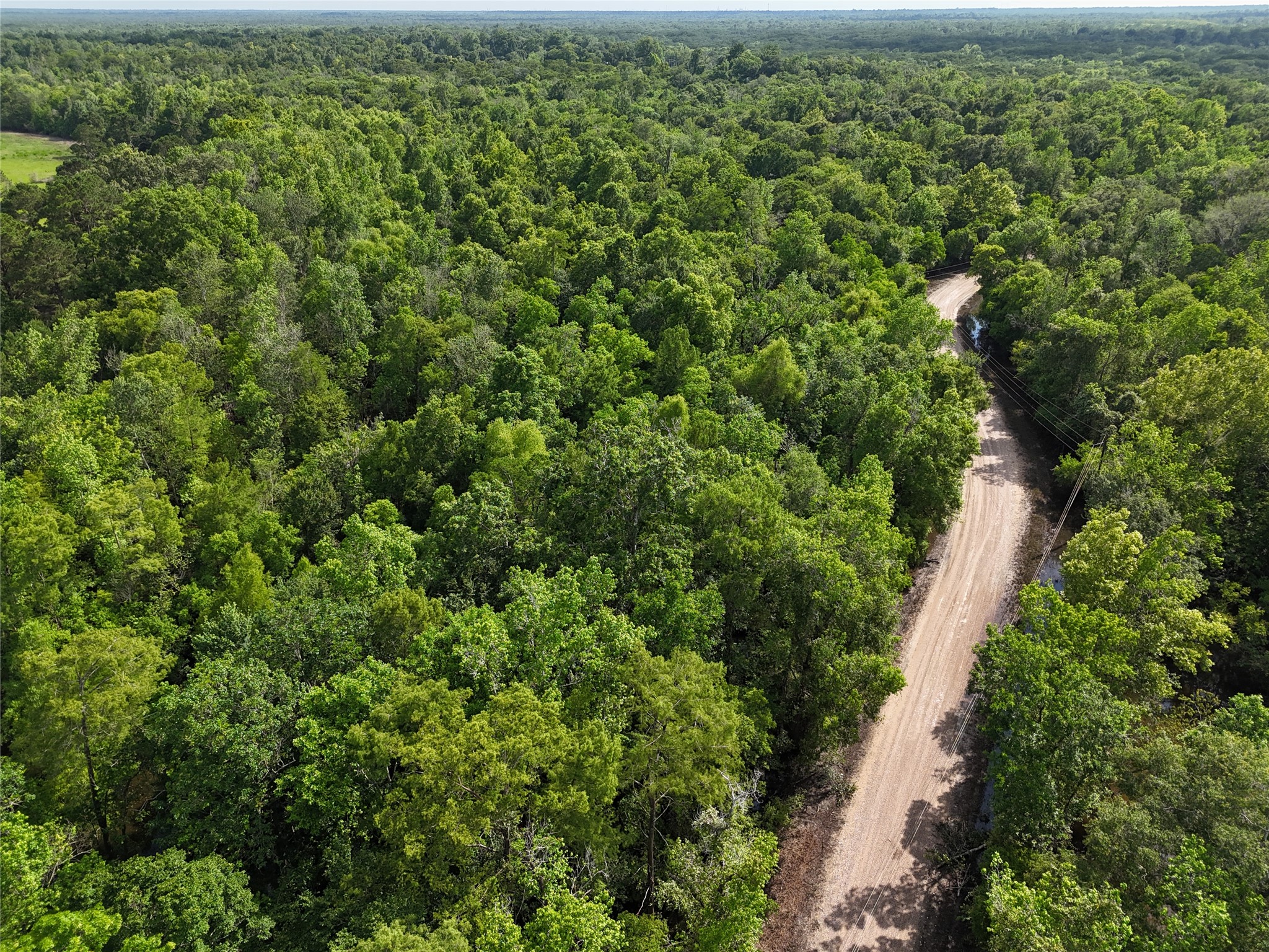 149 County Road 149 Liberty, TX 77575 - Photo 2 of 9 an aerial view of residential house with outdoor space and trees all around
