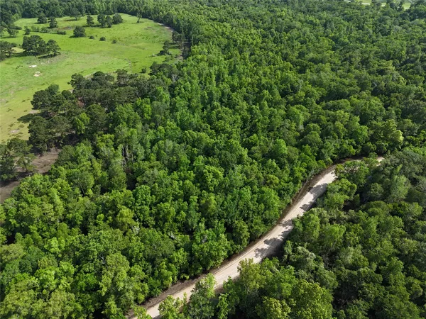 a view of a lush green forest with a park