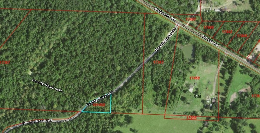 149 County Road 149 Liberty, TX 77575 - Photo 5 of 9 a backyard of a house with lots of green space and trees