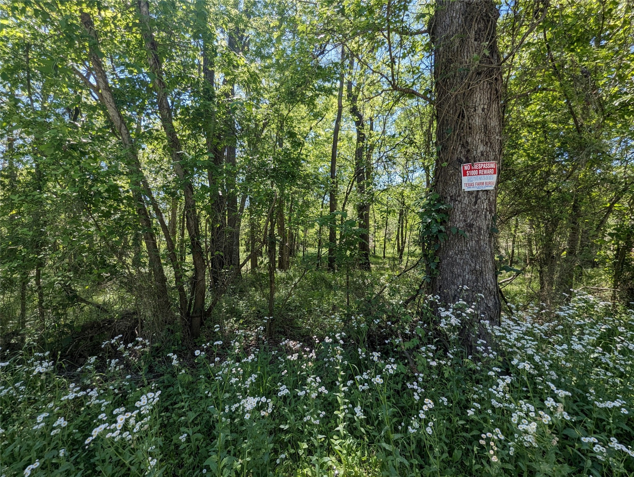 149 County Road 149 Liberty, TX 77575 - Photo 7 of 9 a view of a green field