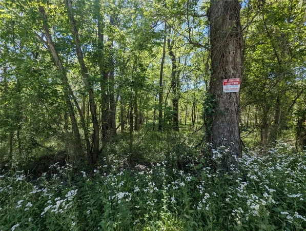 a view of a green yard