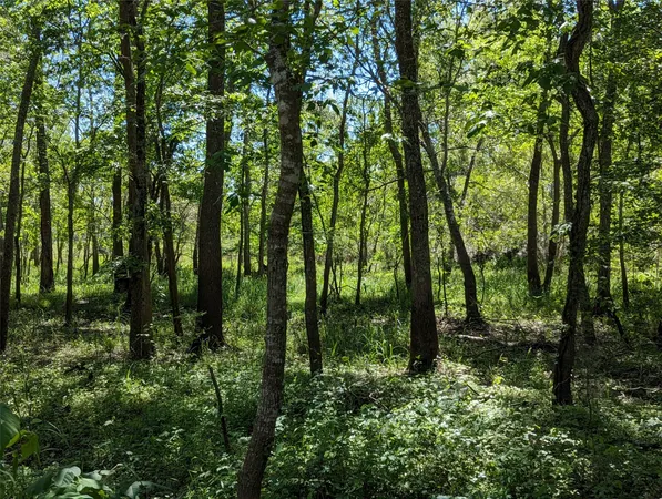 a view of outdoor space and green space