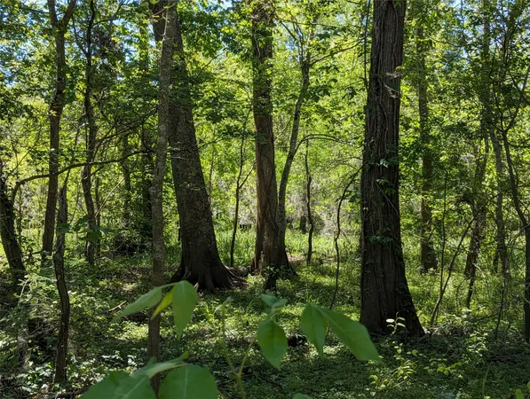 a view of outdoor space and garden view