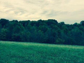 14315 Stamping Ground Road Stamping Ground, KY 40379 - Photo 2 of 15 Photo 2