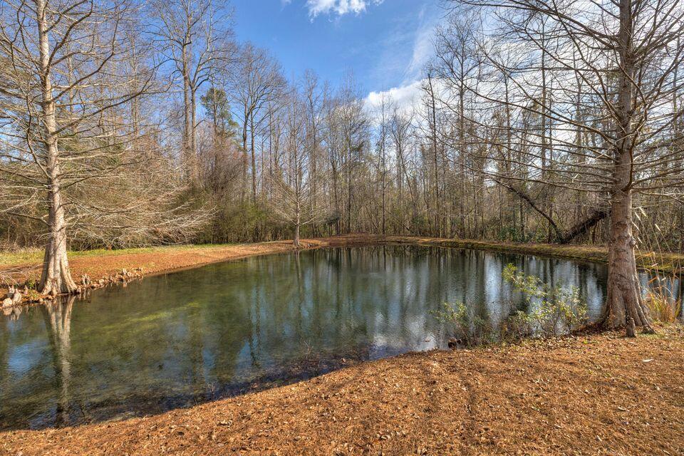 1146 Oak Grove Church Road Manning, SC 29102 - Photo 38 of 78 OG 38